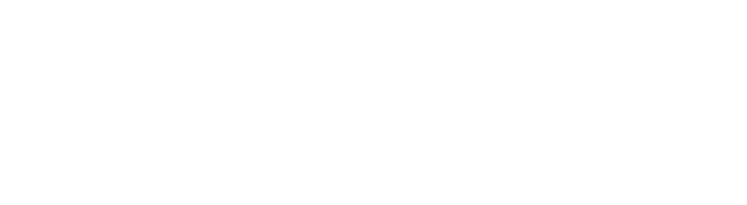 Logo-Dummy-7.png