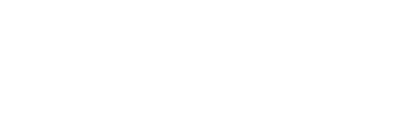 Logo-Dummy-8.png